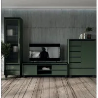 Набір меблів у вітальню Лаундж N100047 Зелений димчастий/чорний Гербор (Gerbor) Україна