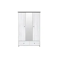 Шафа платтяна Порто SZF2D1L2S Джанні / сосна ларико ВМК (БРВ) Україна